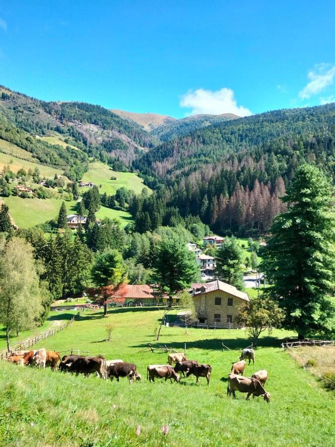 Casa Vacanza Pieve بيسوني المظهر الخارجي الصورة
